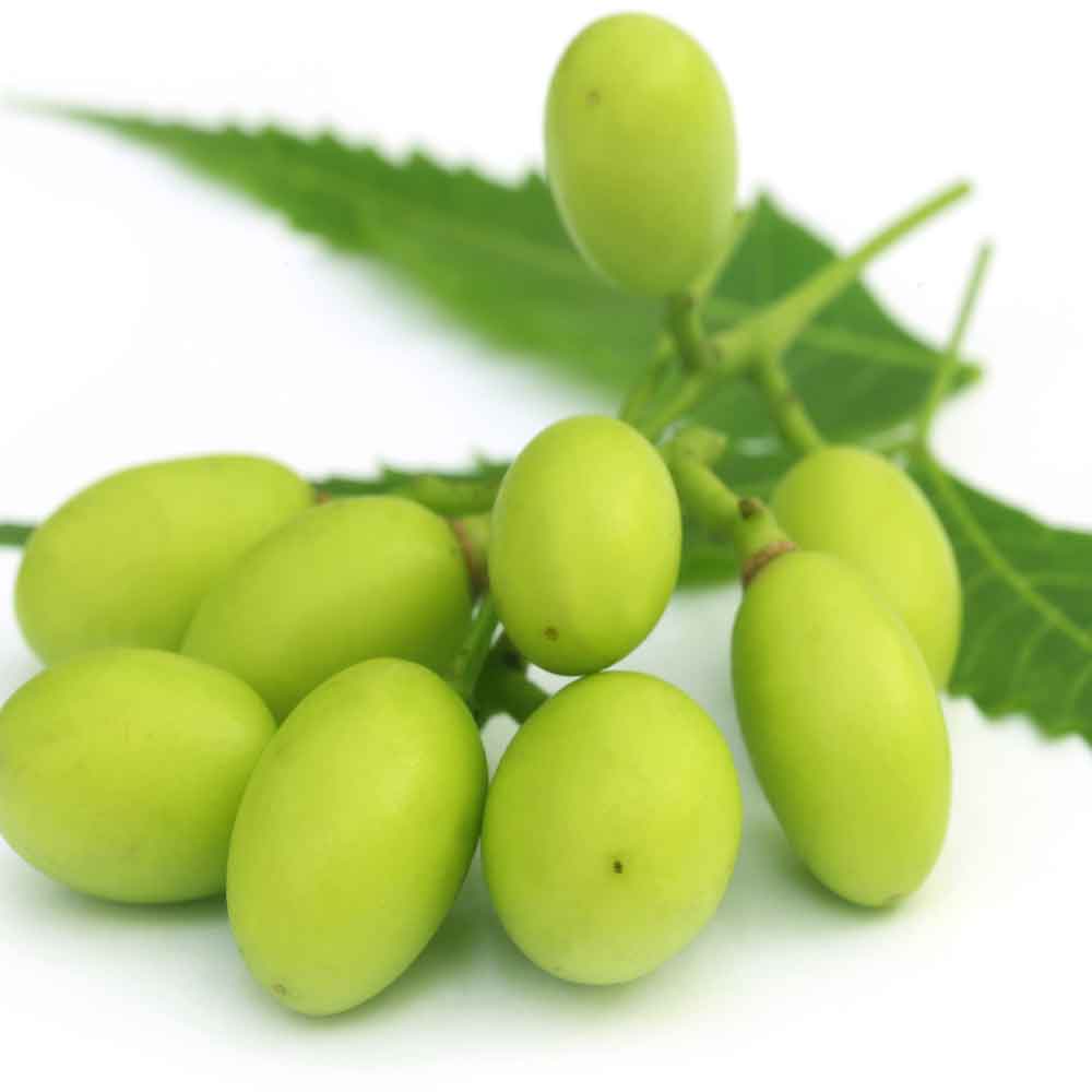 Neem Products