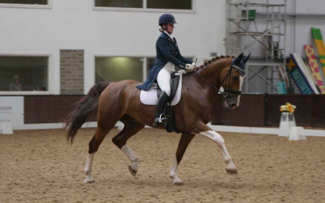 The Unconventional dressage horse aka ‘Arnie’!