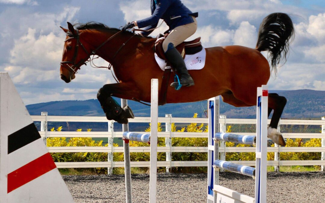 ELEVATE ON ACTIVGAIT!