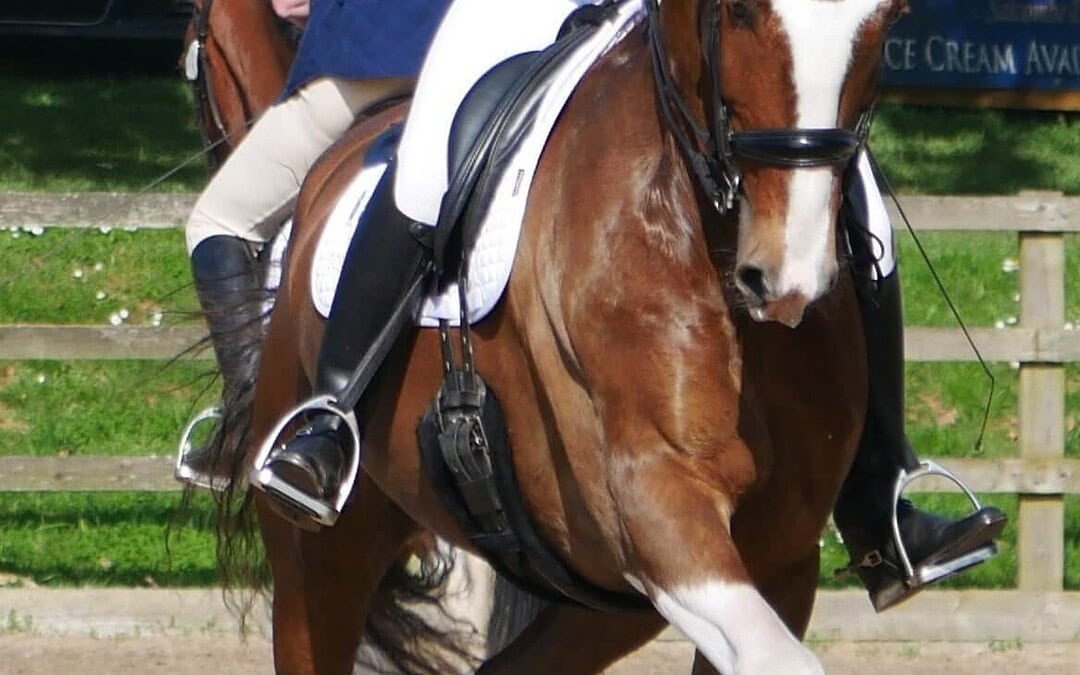 FIRST AT FIRST GRAND PRIX