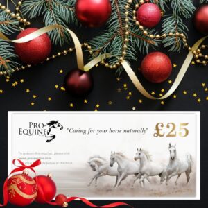 Christmas gift voucher to spend online at Pro-Equine, horsey gifts for the equestrian.