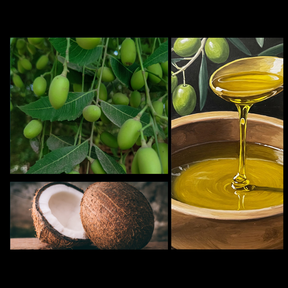 Image of neem oil and coconut
