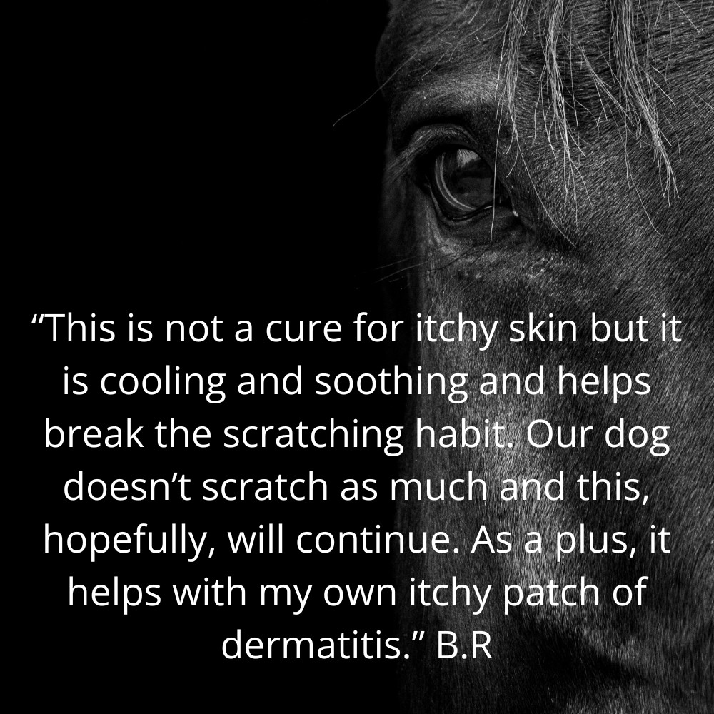 Itch-Eze spray 5 star customer review on itchy dog spray