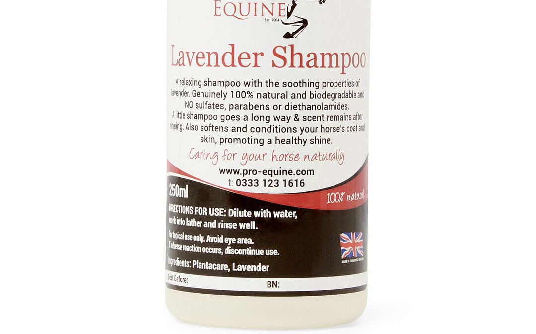 Lavender Horse Shampoo
