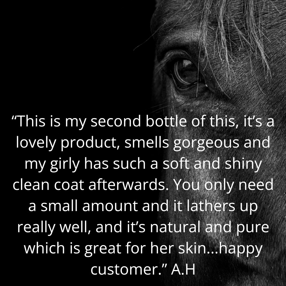 5 star customer review for best Lavender horse shampoo
