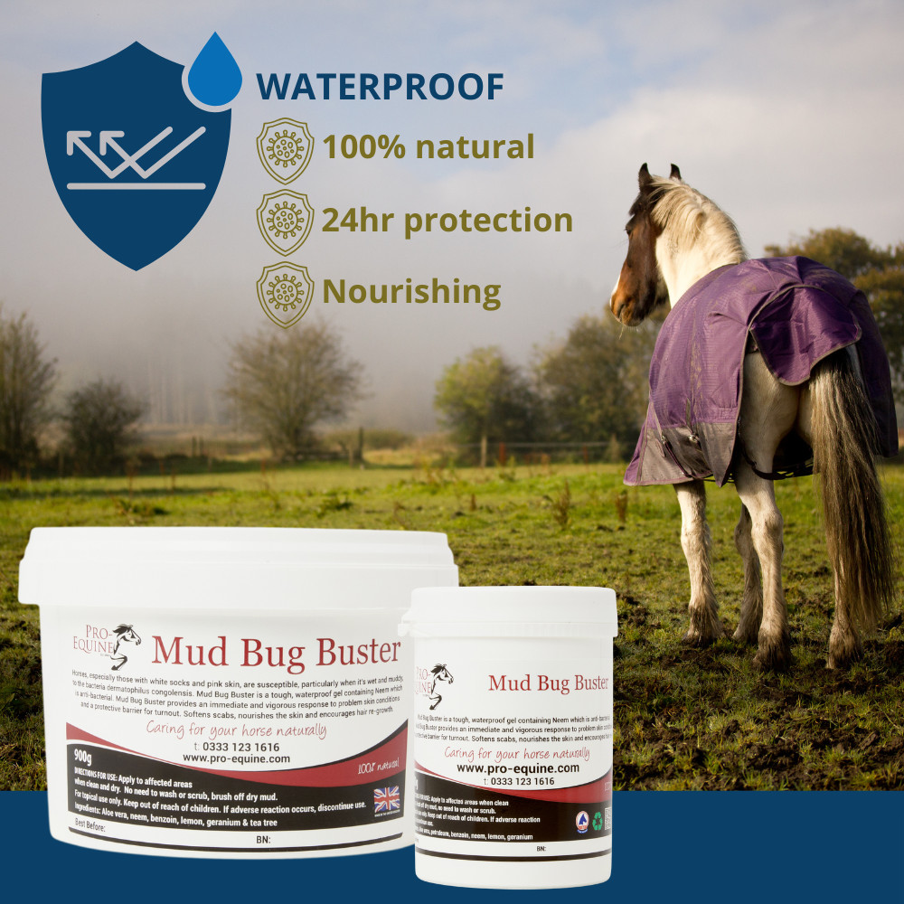 Image of horse in a muddy field with Pro-Equine Mud Bug Buster