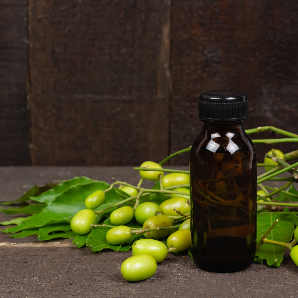 neem seeds with brown bottle for equine skin care