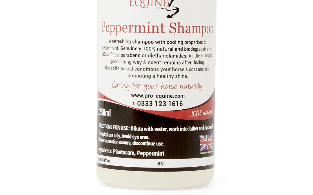 Peppermint Natural Shampoo