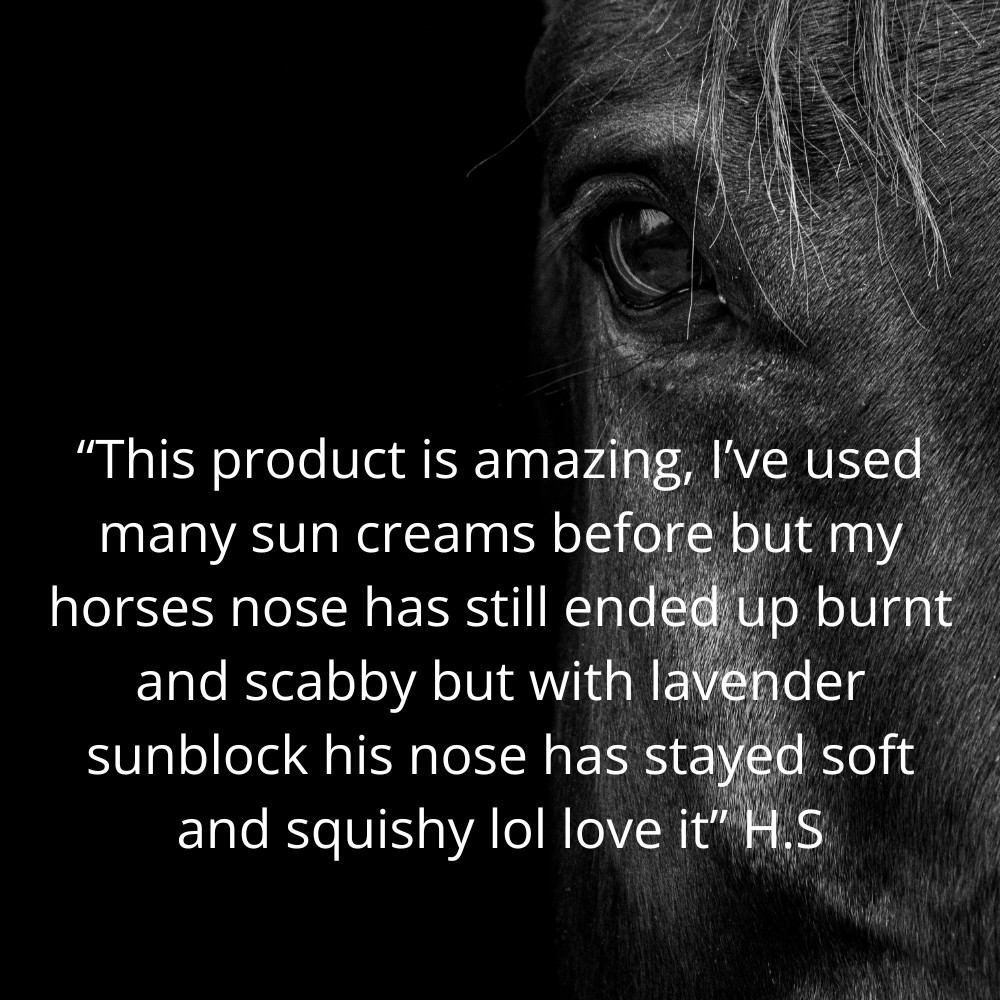 Customer 5 star review for Pro-Equine Lavender Sunblock