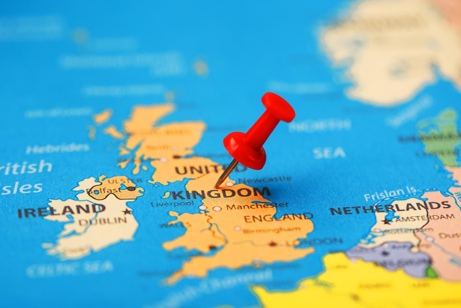 pro-equine stockists battles wholesale local horse product stockist