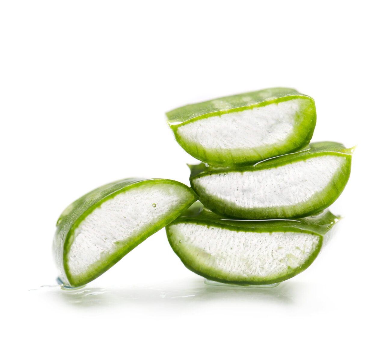 dreamstime_xxl_33500596 aloe vera plant Pro-Equine products range for horses