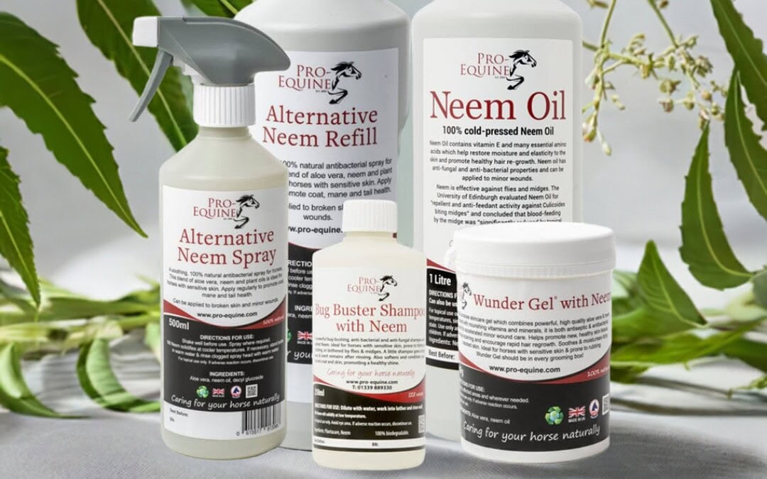 Rejuvenate Your Horse’s Coat with a Natural Miracle!