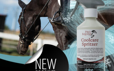 COOL NEW HORSE SPRAY – the ultimate cooling, conditioning horse spray