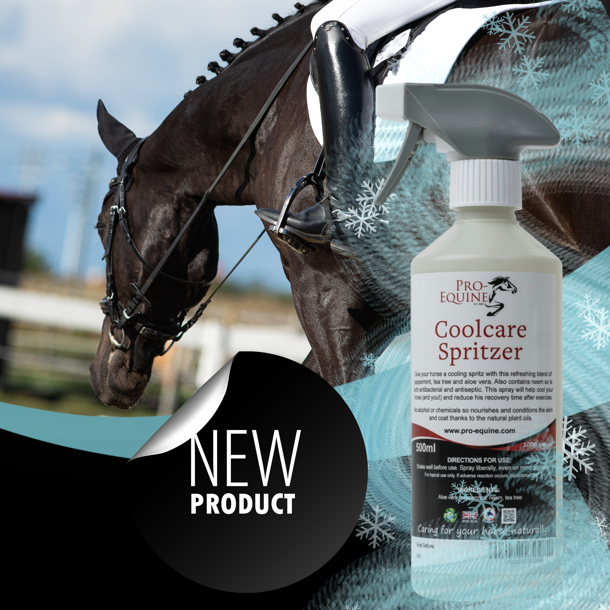 COOL NEW HORSE SPRAY – the ultimate cooling, conditioning horse spray