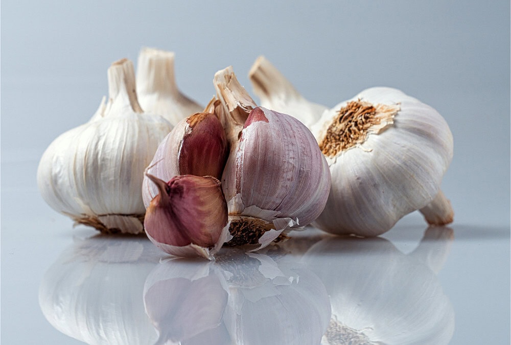 Garlic For Horses