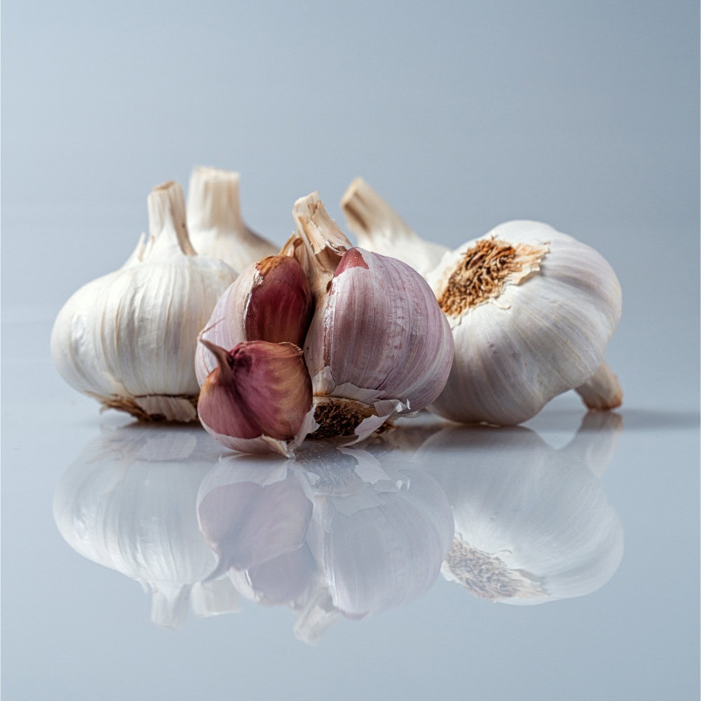 Garlic for horses