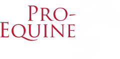 Pro-Equine Ltd