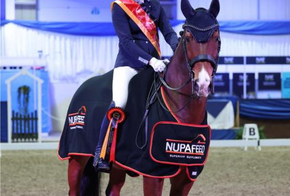 Celebrating 15 years of Sponsorship and Celebrating a Championship Week for Carmen and her Superstar Dressage Horse, Opera