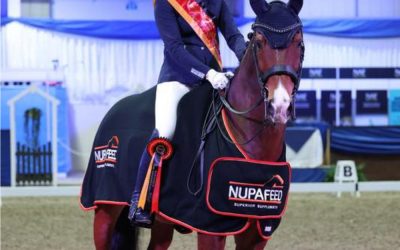 Celebrating 15 years of Sponsorship and Celebrating a Championship Week for Carmen and her Superstar Dressage Horse, Opera