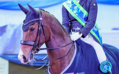 Carmen Gammie and Opera Shine in the Prix St Georges Silver