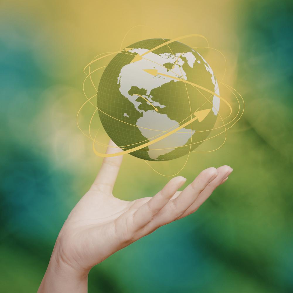 Our sustainability story planet friendly ingredients and packaging for your horse and dog, read our story about how Pro-Equine are going green.