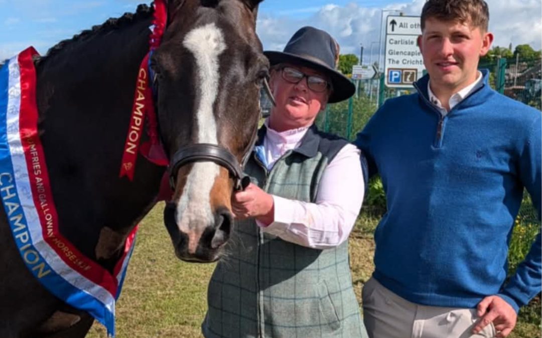 Expensive Decision isn’t just impressing in the ring… he’s also thriving behind the scenes with support from Pro‑Equine