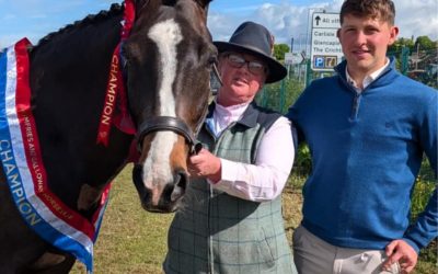 Expensive Decision isn’t just impressing in the ring… he’s also thriving behind the scenes with support from Pro‑Equine
